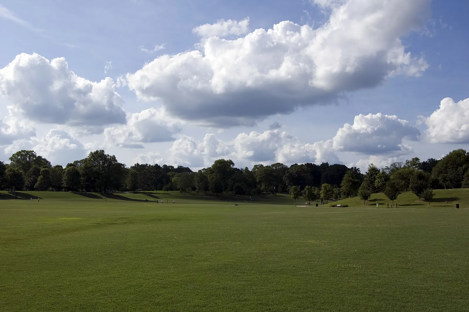 The Meadow in Piedmont Park, Atlanta, where the park's Great Tree is lit each holiday season