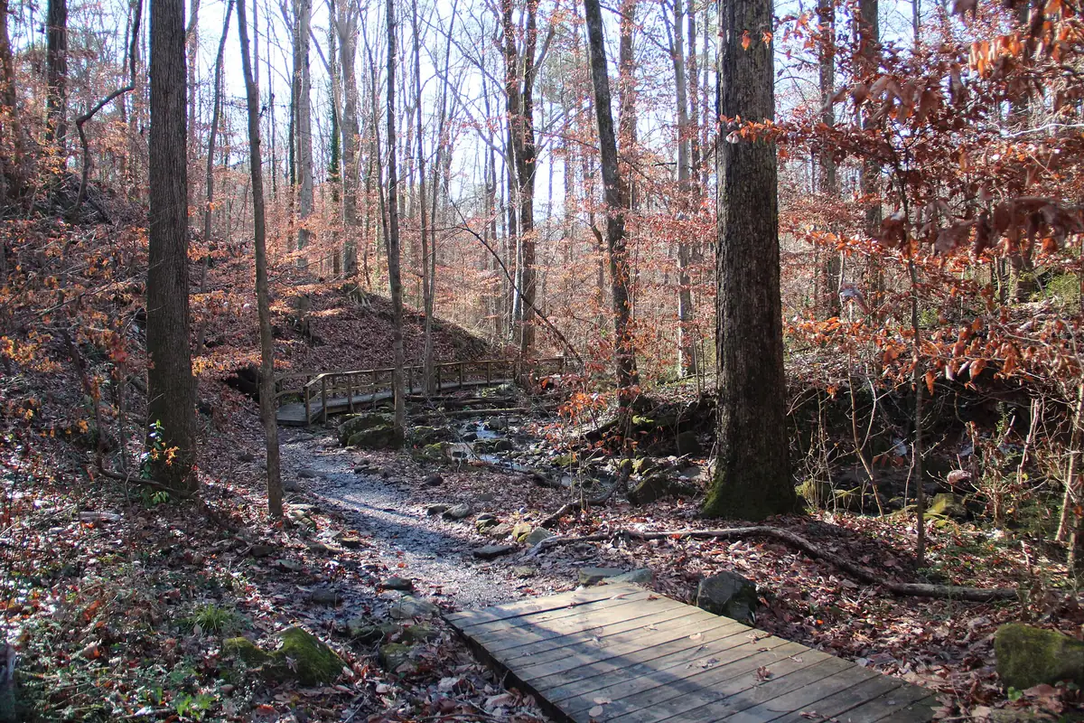The boardwalk at Cascade Springs Nature Preserve in southwest Atlanta