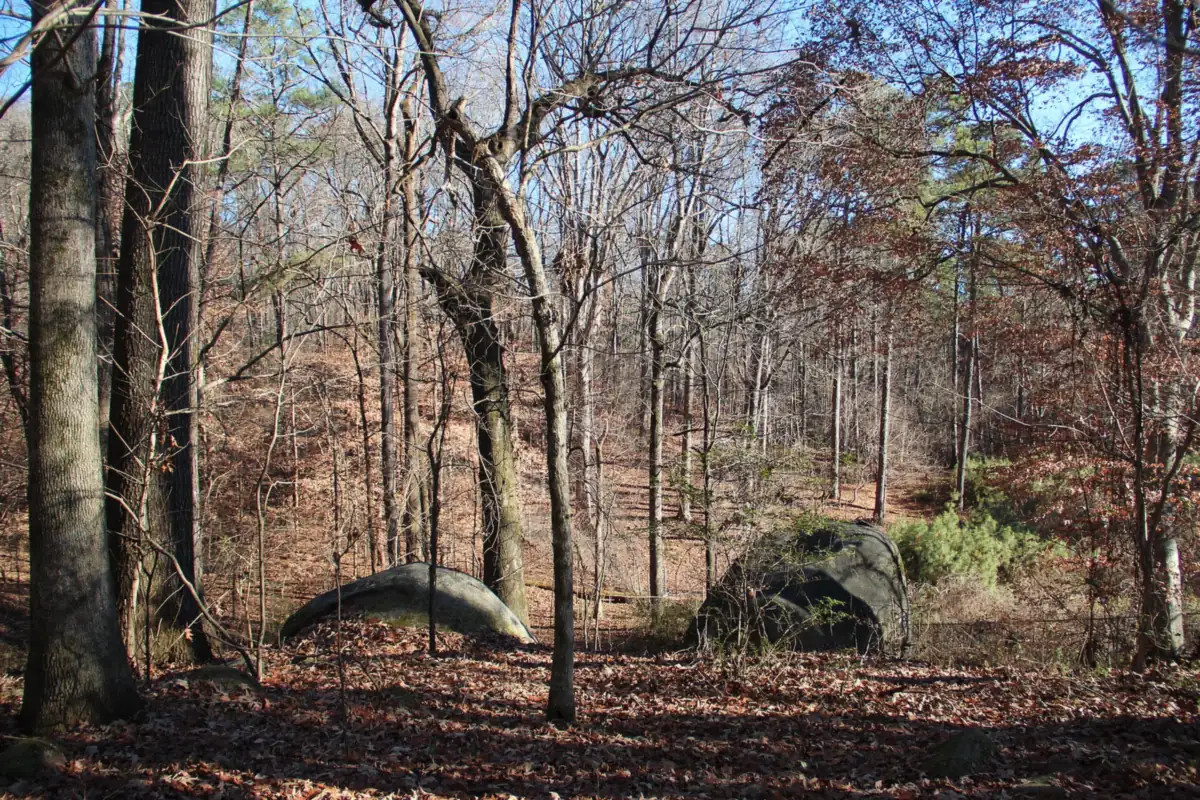 Cascade Springs Nature Preserve in southwest Atlanta