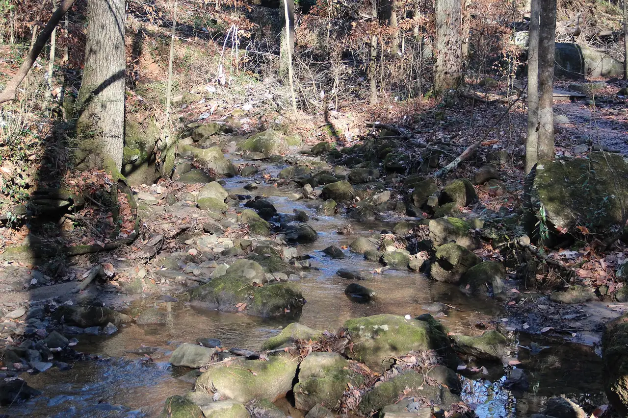 Turkeyfoot Creek in the Cascade Springs Nature Preserve, southwest Atlanta
