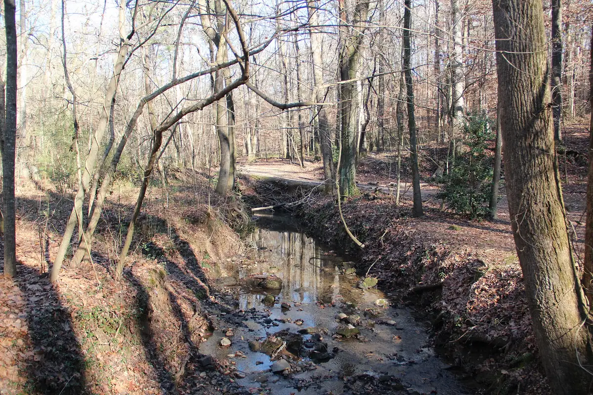 Turkeyfoot Creek in the Cascade Springs Nature Preserve, southwest Atlanta